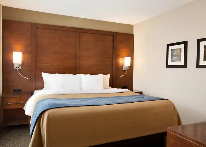 Comfort Inn & Suites Presidential